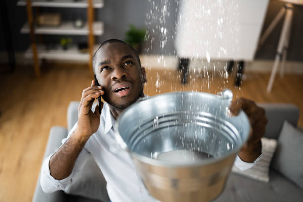 Best Flooded house restoration  in Brooktrails, CA
