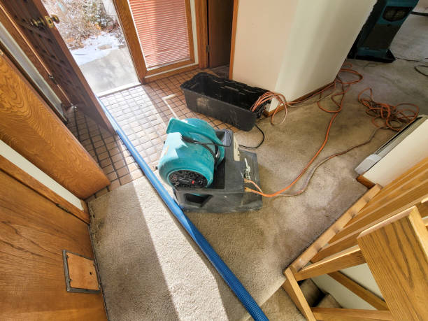 Best Ceiling water damage repair  in Brooktrails, CA