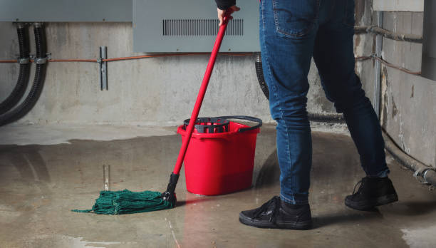 Best Water damage restoration experts  in Brooktrails, CA