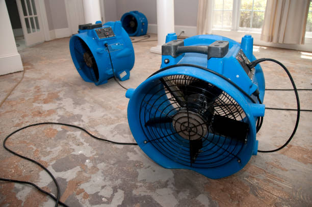 Best Fire Damage Restoration  in Brooktrails, CA