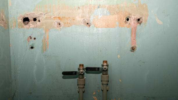 Best Ceiling water damage repair  in Brooktrails, CA