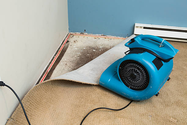 Best Water damage restoration company  in Brooktrails, CA